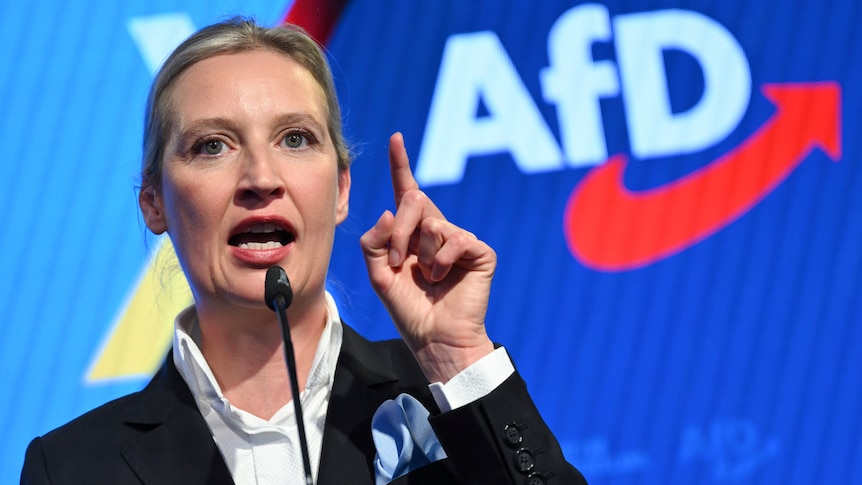 AfD'nin Aşırı Sağcı Statüsü Askıya Alındı