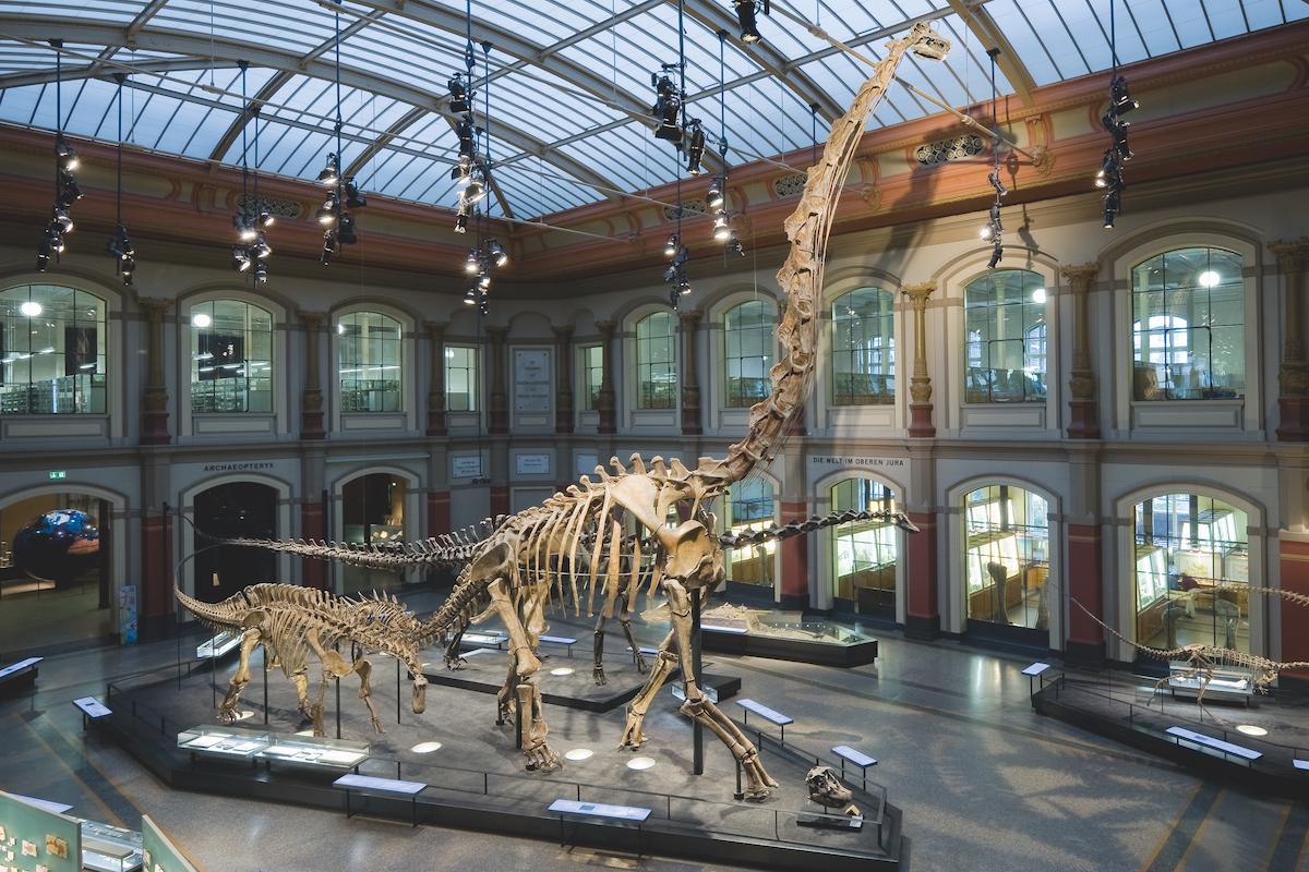 Internationaler Museumstag 2025