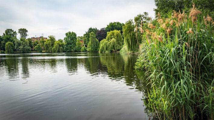 Schäfersee'de Temizlik Dönemi